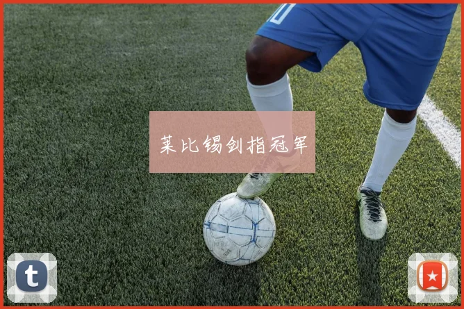 莱比锡剑指冠军