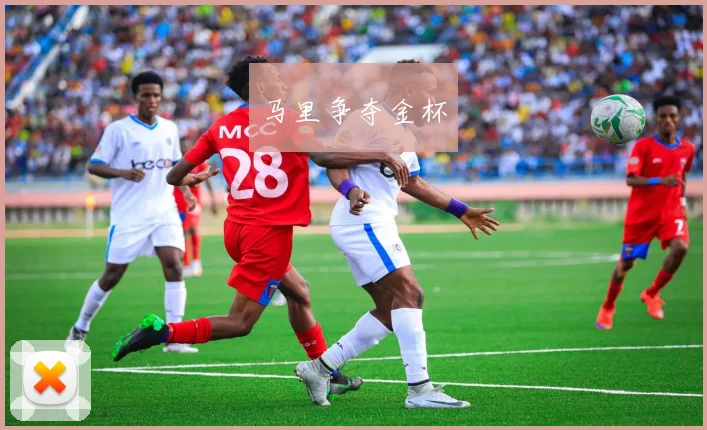马里争夺金杯