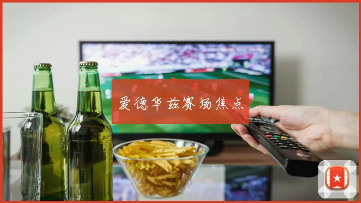 爱德华兹赛场焦点