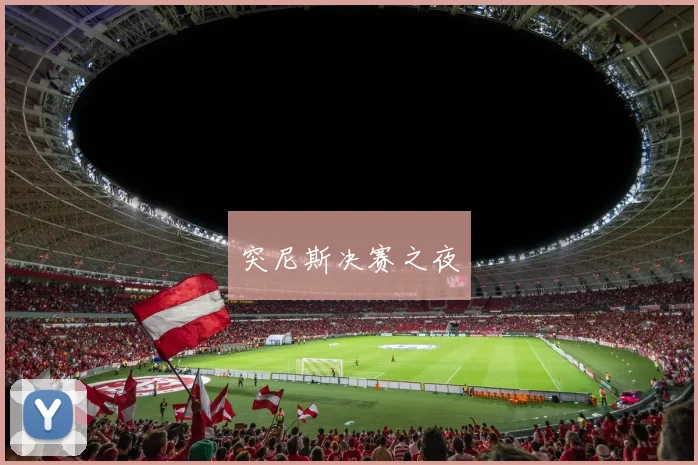 突尼斯决赛之夜