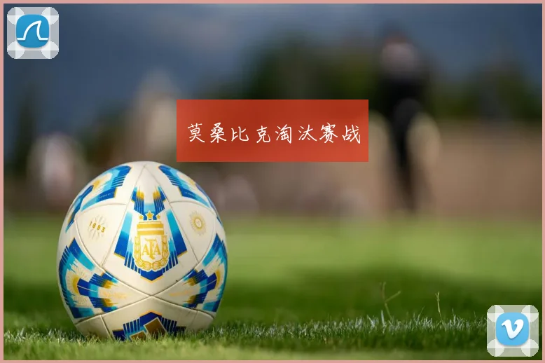 莫桑比克淘汰赛战