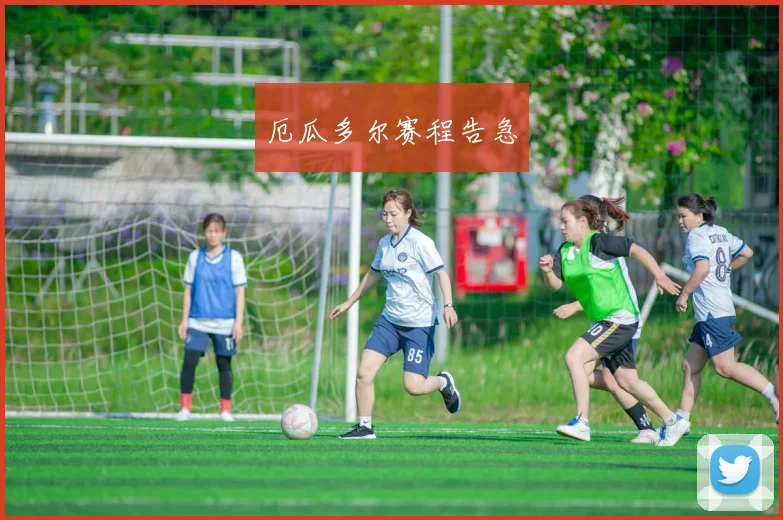 厄瓜多尔赛程告急