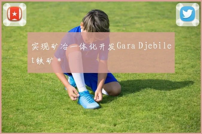 实现矿冶一体化开发Gara Djebilet铁矿＊