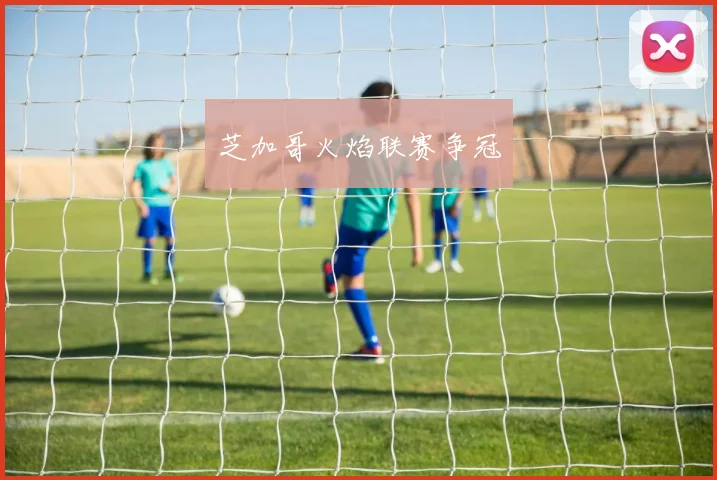 芝加哥火焰联赛争冠