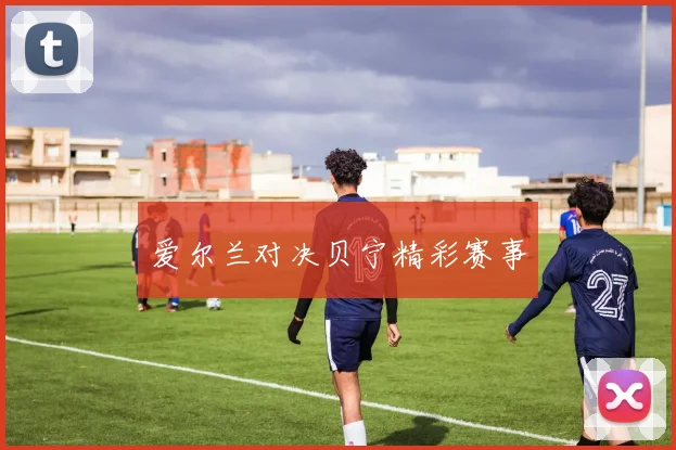 爱尔兰对决贝宁精彩赛事