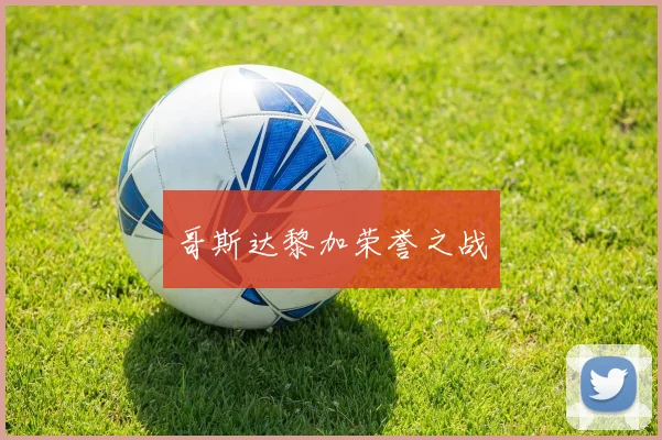 哥斯达黎加荣誉之战