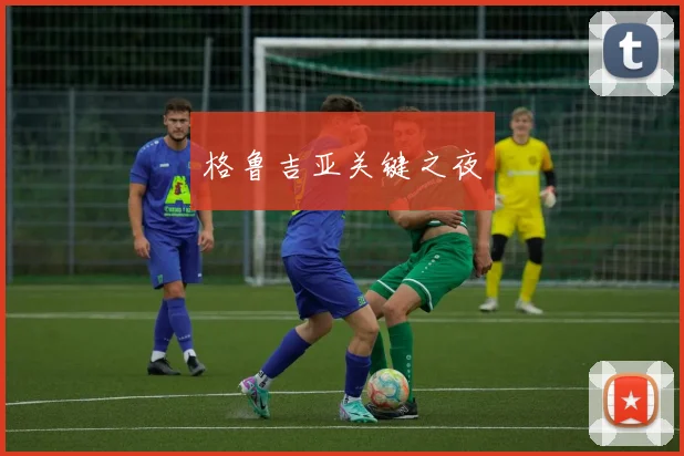 格鲁吉亚关键之夜