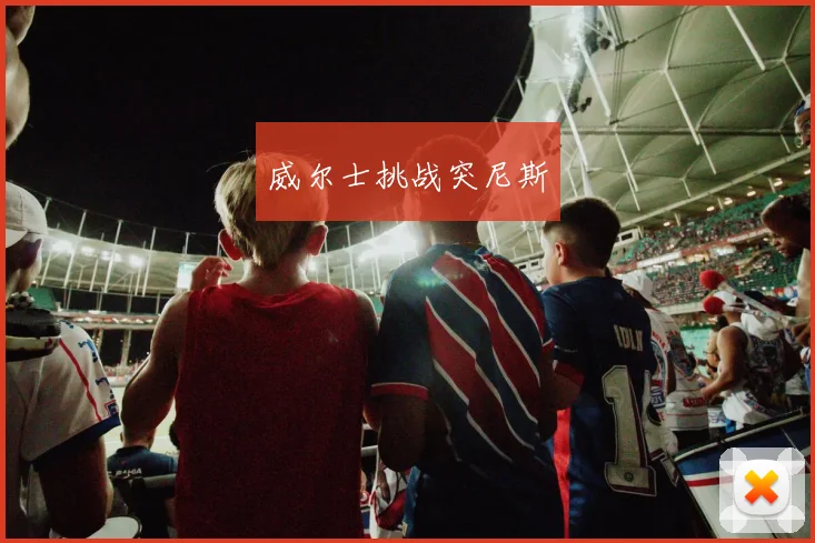 威尔士挑战突尼斯