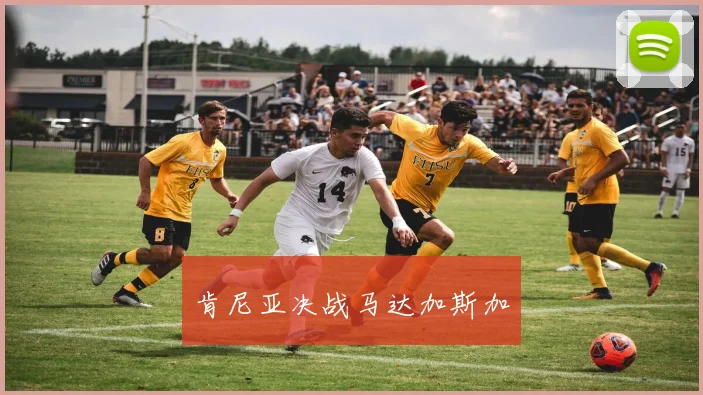 肯尼亚决战马达加斯加