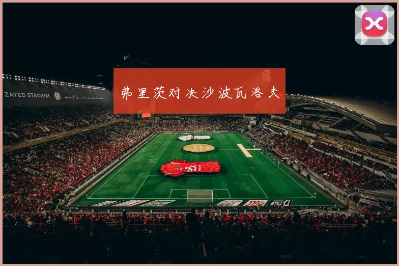 弗里茨对决沙波瓦洛夫