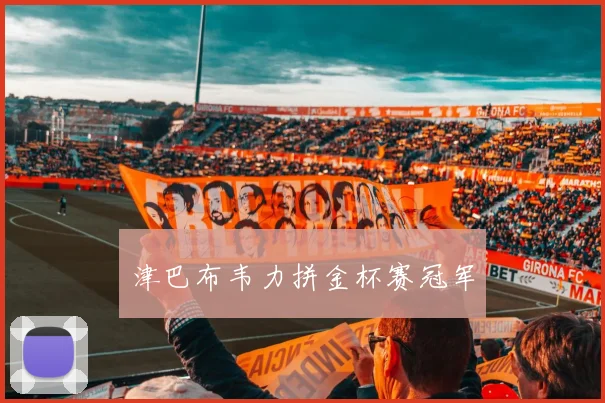 津巴布韦力拼金杯赛冠军