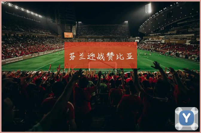 芬兰迎战赞比亚