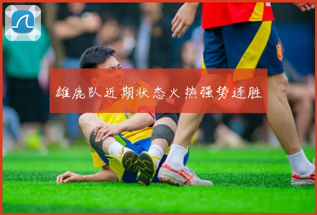 雄鹿队近期状态火热强势连胜