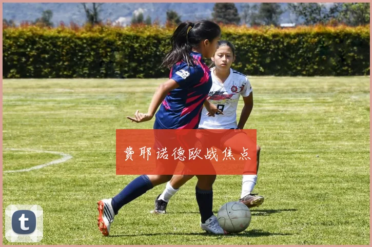 费耶诺德欧战焦点
