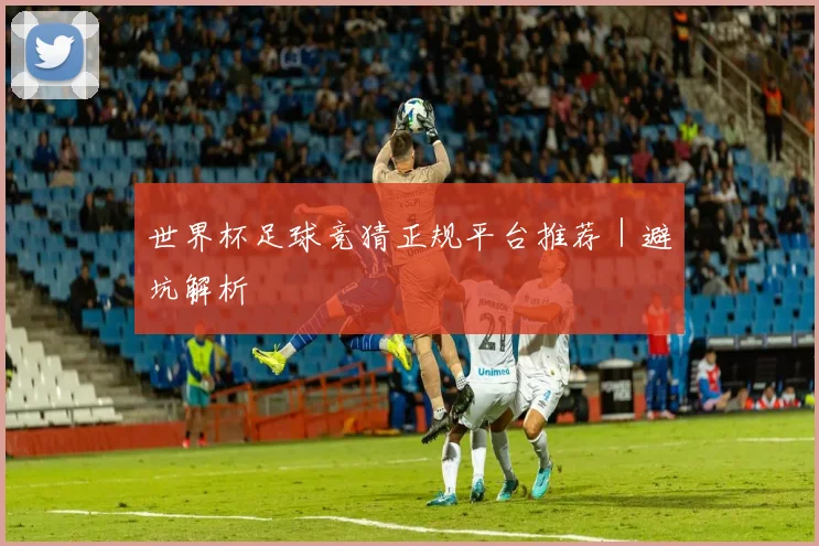 世界杯足球竞猜正规平台推荐｜避坑解析
