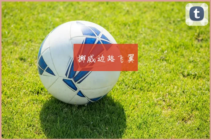挪威边路飞翼