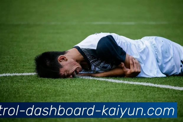 开云Kaiyun登录入口App下载