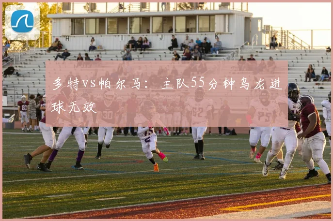 多特vs帕尔马：主队55分钟乌龙进球无效