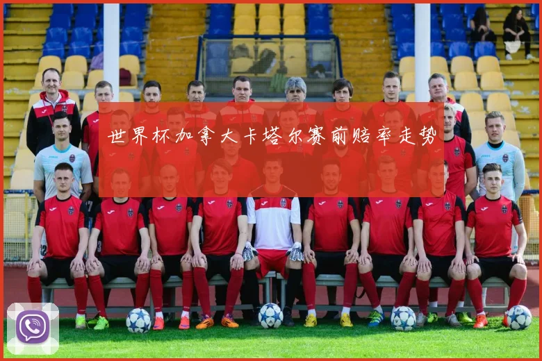 世界杯加拿大卡塔尔赛前赔率走势