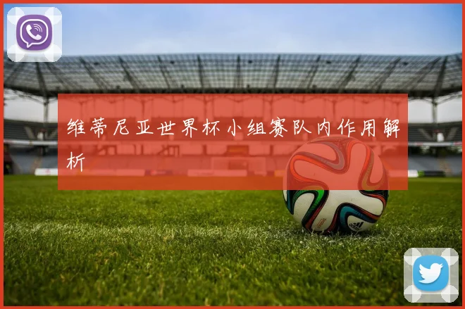 维蒂尼亚世界杯小组赛队内作用解析