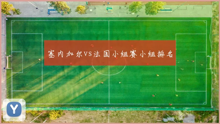 塞内加尔vs法国小组赛小组排名