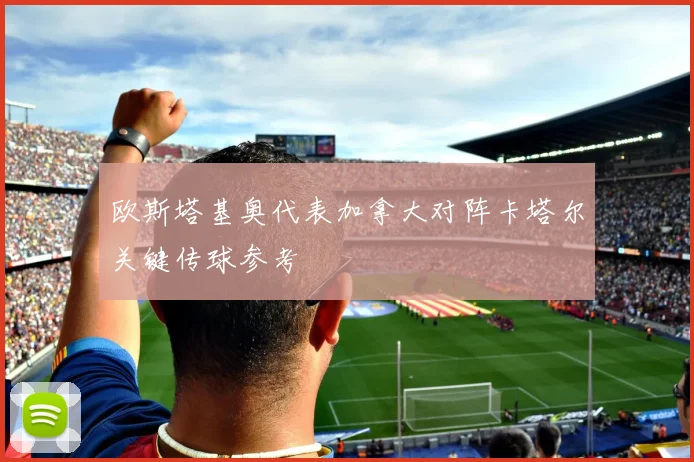 欧斯塔基奥代表加拿大对阵卡塔尔关键传球参考