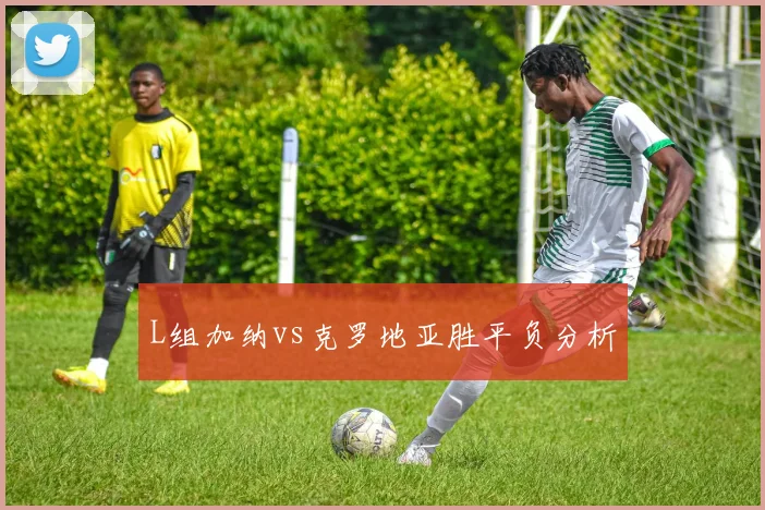 L组加纳vs克罗地亚胜平负分析